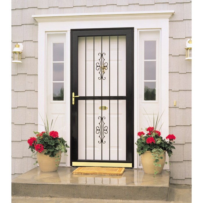 Decorative Storm Doors Enhance Your Homes Curb Appeal