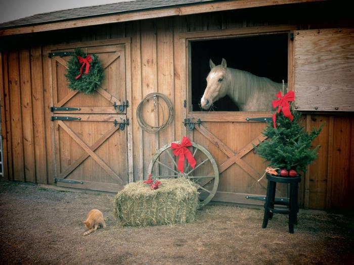 Western Christmas Decor Rustic Charm