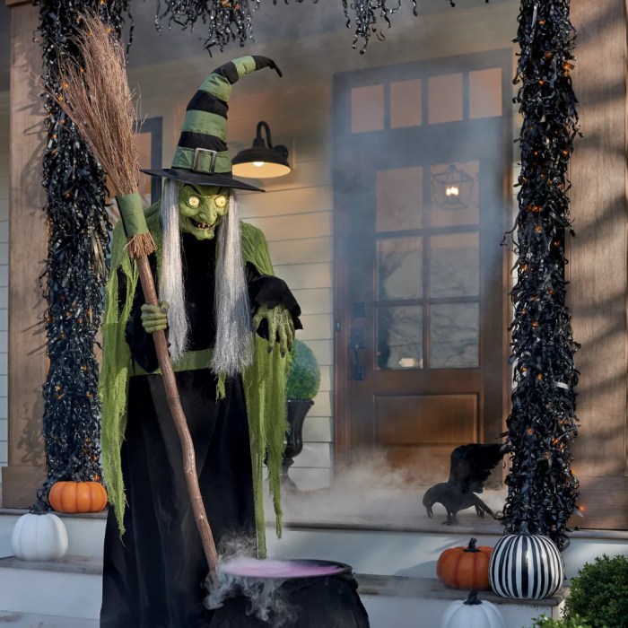 Halloween Witch Decoration Ideas