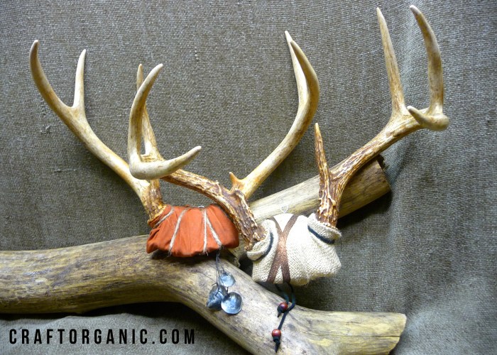 Decorative Antlers