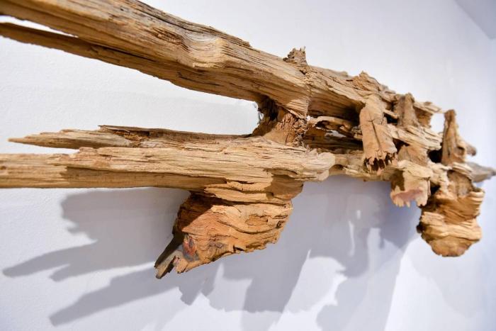 Driftwood