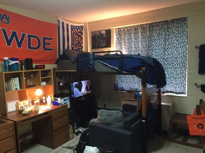 Dorm Room Decor For Guys