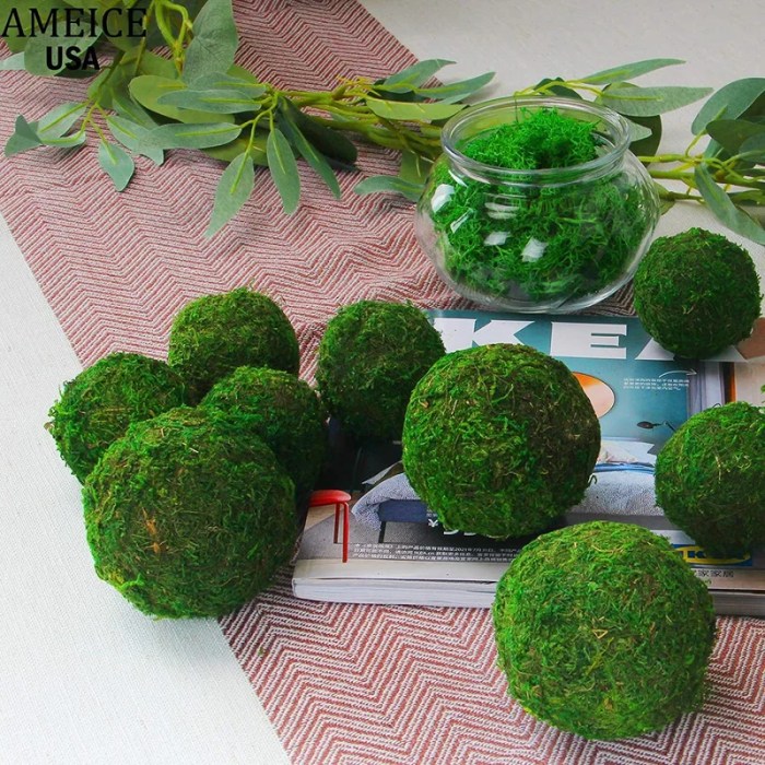 Decorative Moss Balls A Comprehensive Guide