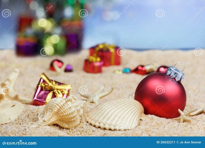 Beach Christmas Decor