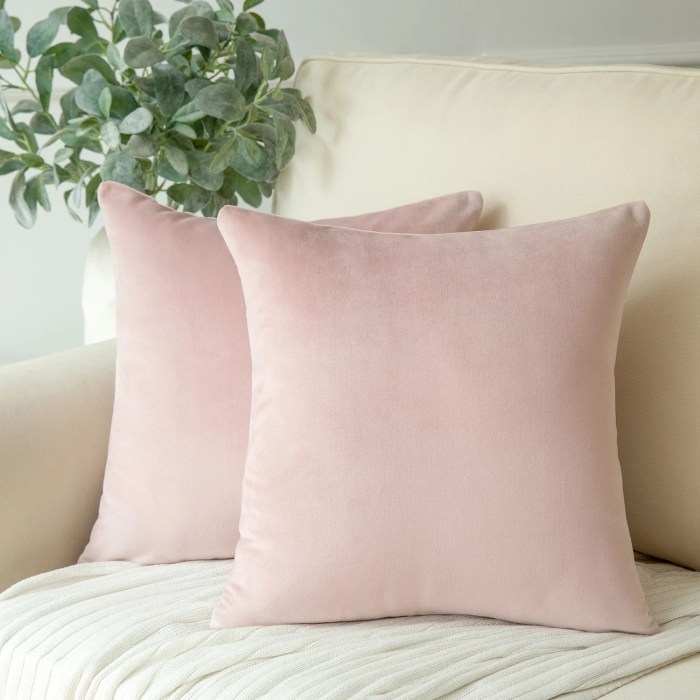 Pink Decorative Pillows