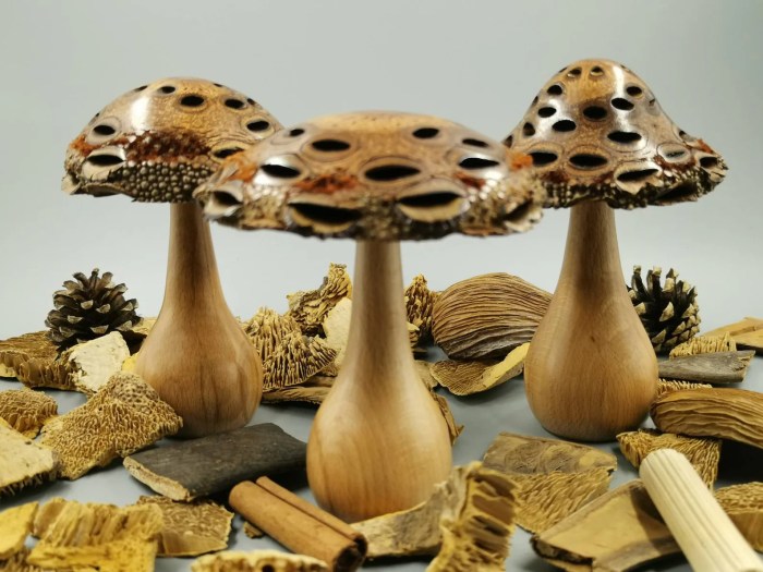 Decor Mushroom A Guide to Styles and Uses