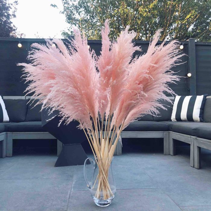 Pampas Grass Decorative A Style Guide