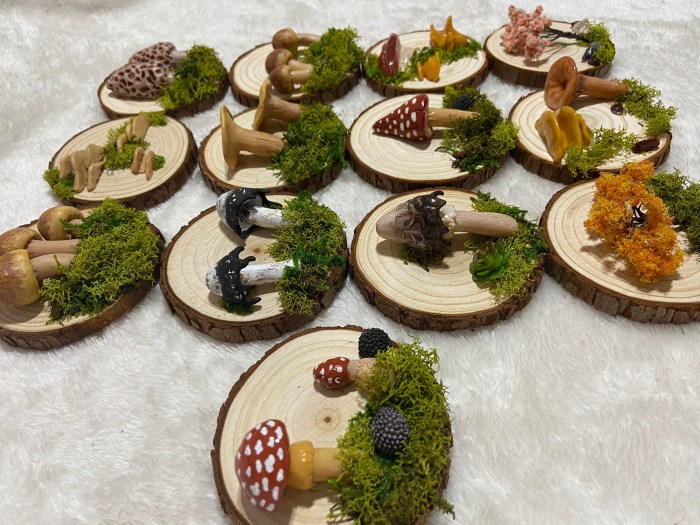 Mushroom Decor A Guide to Fungi-Inspired Design