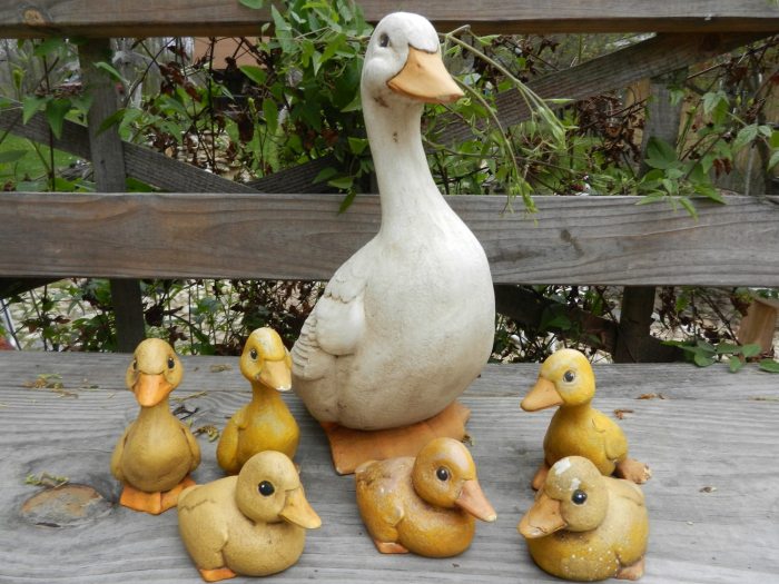 Duck Decor