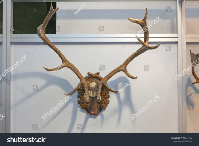 Decorative Antlers A Design Guide